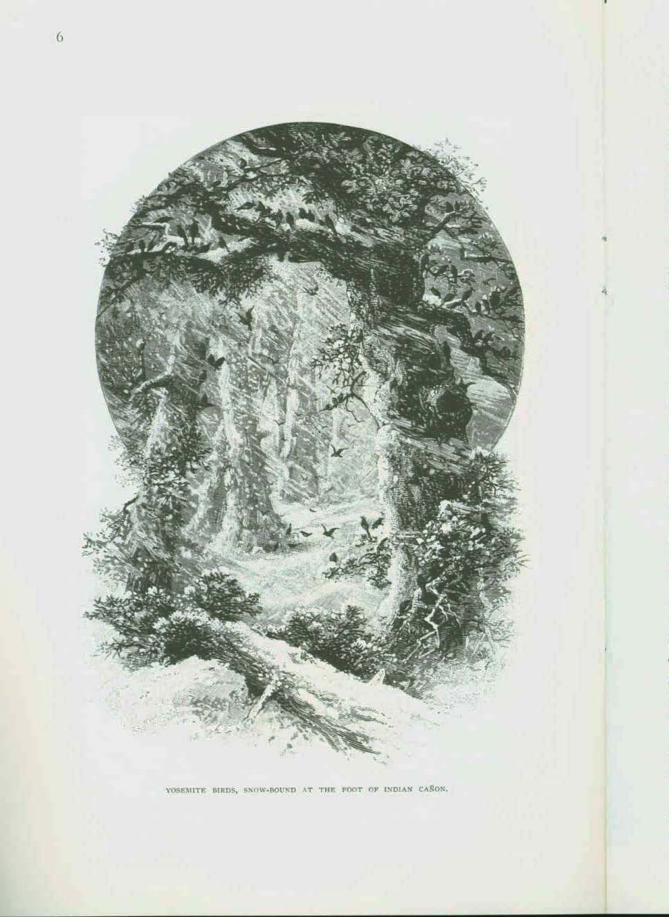 The Yosemite in Winter: an 1892 account. vist0053d